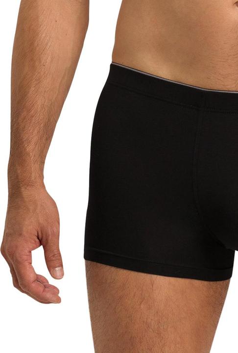 Image du produit Hanro Shorts (L, Une unité par pack)