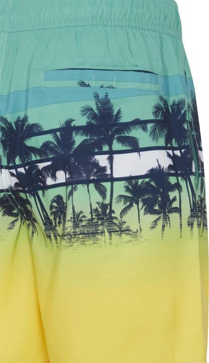 Image du produit Blend short de bain (M)