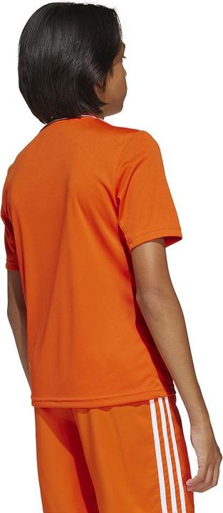 Actual product image adidas Campeon 25 Jersey Kids (164)