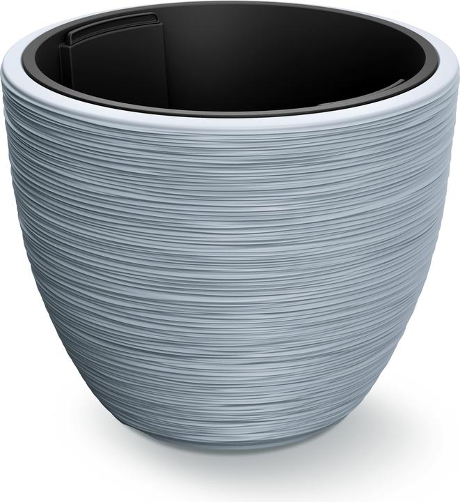 Gris