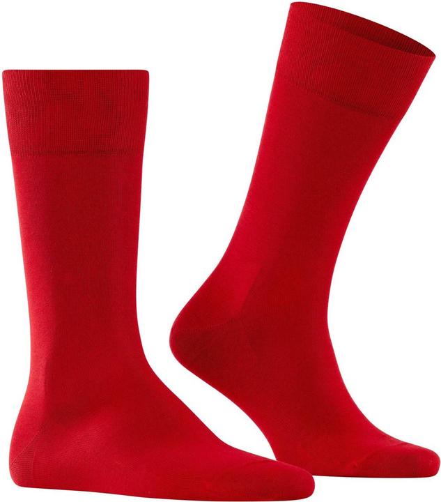 Actual product image Falke Socks Business Stretch (pack of 2, 45 - 46)