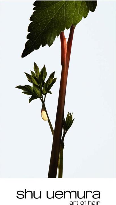 Actual product image Shu Uemura Ashita Supreme Conditioner (250 ml)