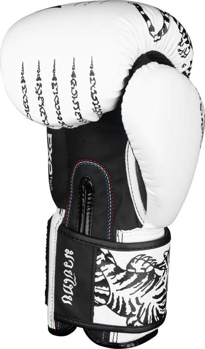Actual product image Phantom Athletics Boxing gloves Muay Thai (10 OZ, 10)