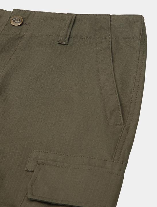 Actual product image Dickies Millerville Pant (30, S)
