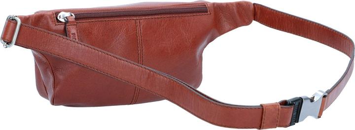 Actual product image Picard Buddy