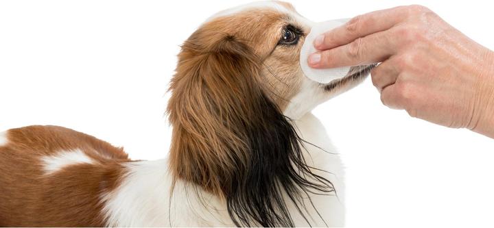 Actual product image Trixie Eye Care Disposable Pads (Dog, Cat, Rodents)