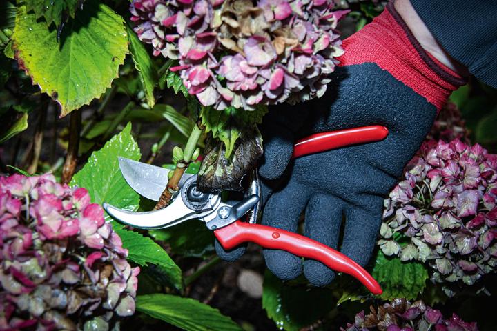 Actual product image BGS Leichtmetall-Gartenschere