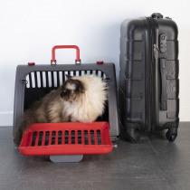 Actual product image Lola Toys plastic foldable transport box 46*35*h33cm