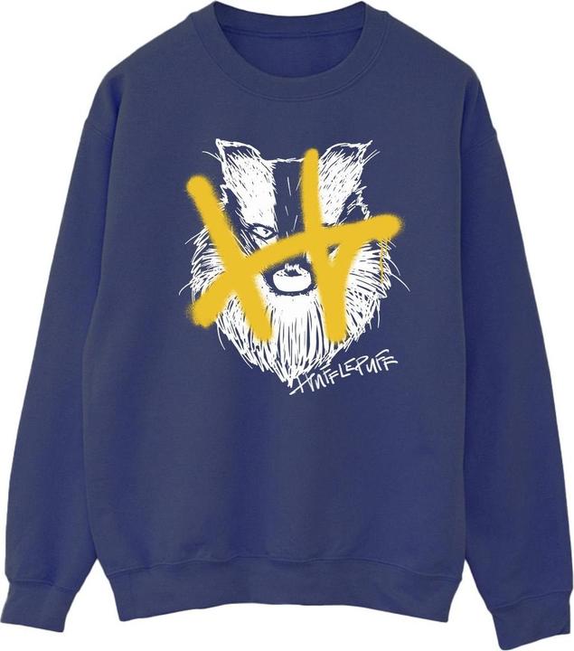 Produktbild Hufflepuff Pop Spray Sweatshirt (S)