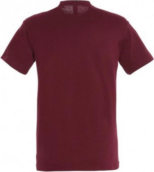 Image du produit Sols - T-shirt REGENT - Homme (3XL)