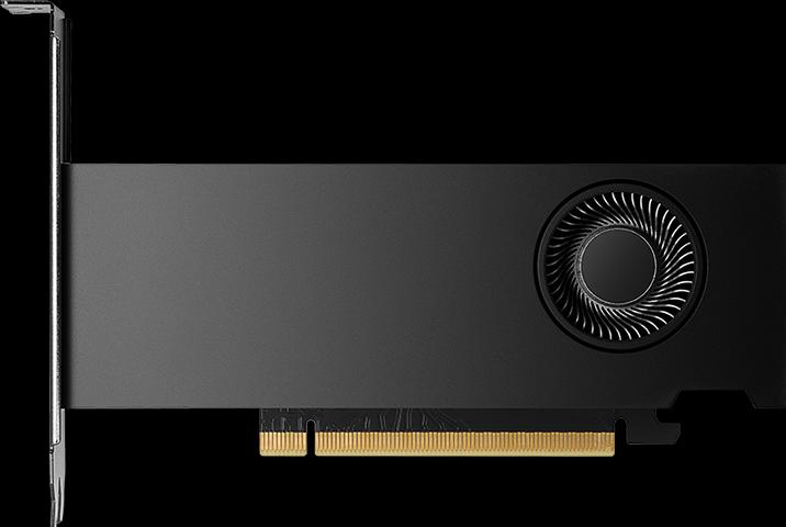 Produktbild PNY RTX 2000 Ada (16 GB)