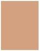 Actual product image Clarins Everlasting Foundation (No.112.5W Caramel)