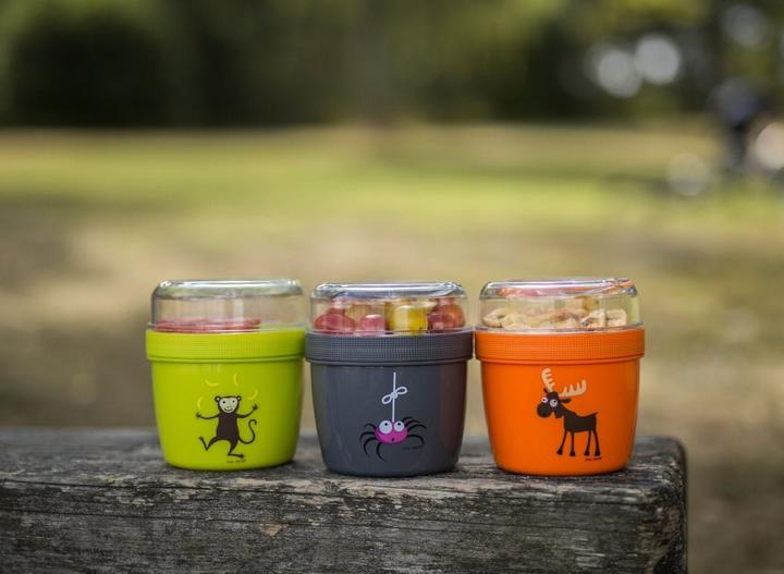 Actual product image Carl Oscar Nice Cup ™ L Orange-Moose breakfast container with cooling insert
