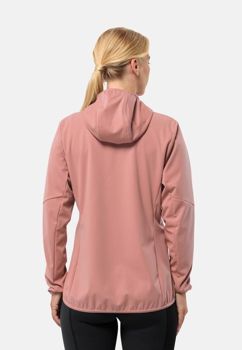 Image du produit Jack Wolfskin Feldberg Hoody W (XS)