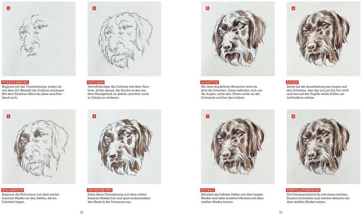 Image du produit Tiere zeichnen (2 Bücher im Bundle)