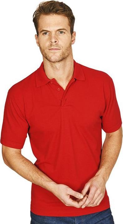 Actual product image Absolute Apparel Pioneer Polo (L)