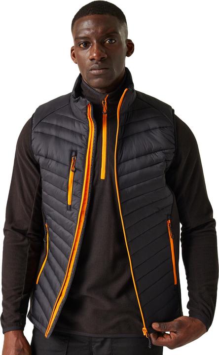 Immagine prodotto Regatta Navigate Gilet Trapuntato Ibrida Uomo (XXL)