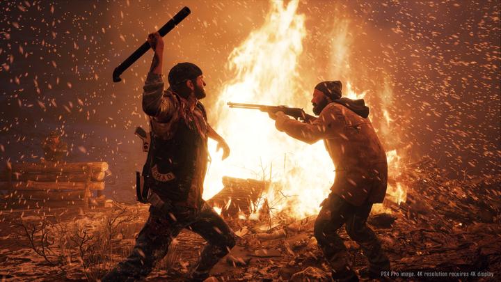 Actual product image Sony Days Gone, PS4 Standard PlayStation 4 (PS4)
