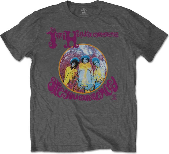 Jimi Hendrix Are You Experienced