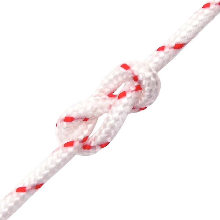 Immagine prodotto VidaXL Corda di avviamento e Ø6 mm 10 m di nylon (10 m)