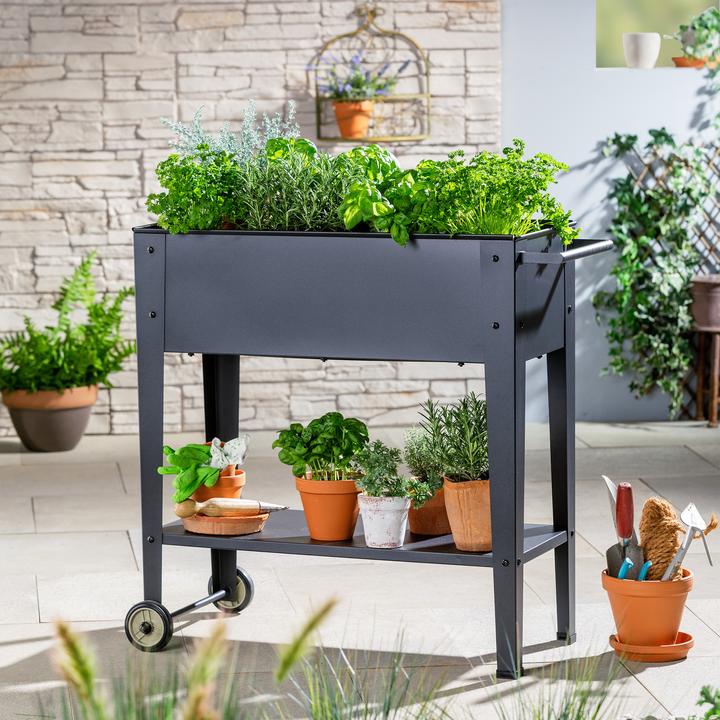 Actual product image Garden Pleasure Mobile raised bed
