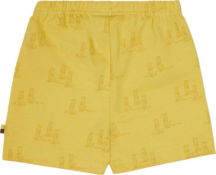 Actual product image loud + proud Short pressure (86)