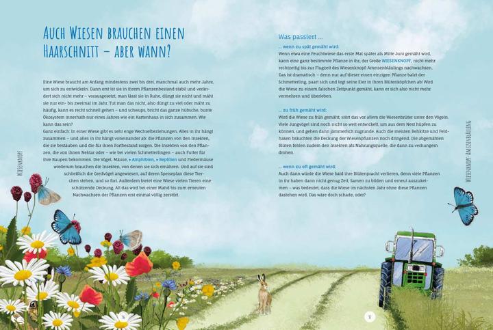 Immagine prodotto Die Wildwiese (Tedesco, Annette Zacharias, Angelika Huber-Janisch, 2022)