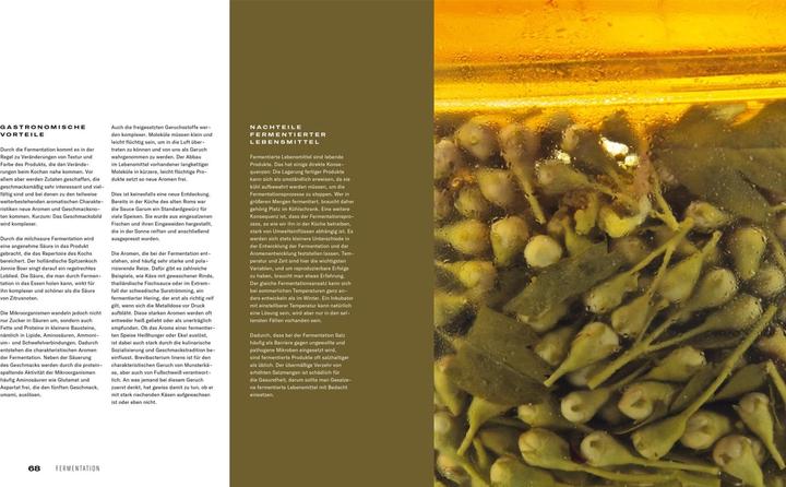 Produktbild Fermentation (Deutsch, Thomas, Antoniewicz, Heiko/Ruhl, 2021)