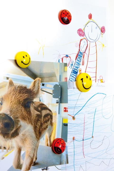 Produktbild Magnetoplan Smiley Magnete (8 x)