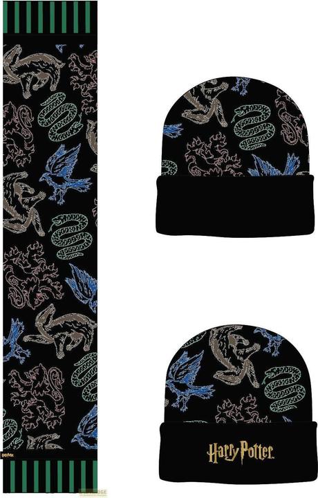 Image du produit Harry Potter: Wizards Unite Set cadeau (bonnet & écharpe) (Taille unique)