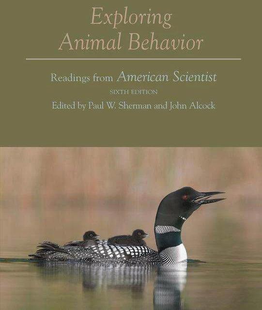 Actual product image Exploring Animal Behaviour (English, Paul W. Sherman, John Alcock, 2013)