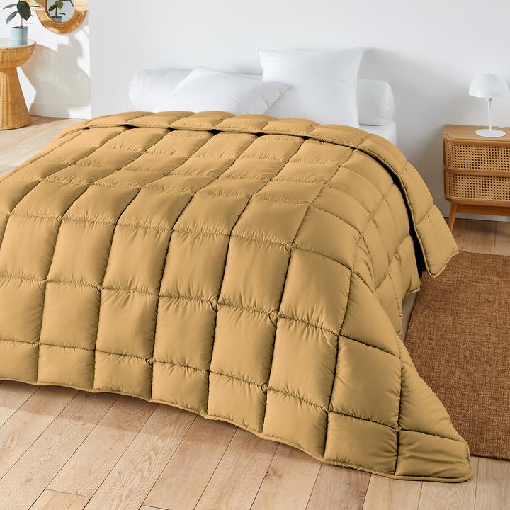Immagine prodotto La Redoute Interieurs Lri Synthetique Color (240 x 220 cm)