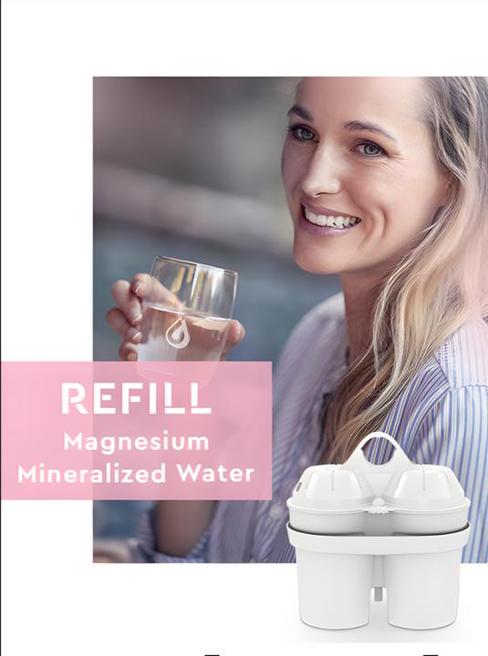 Actual product image BWT Filter cartridges (4 x)