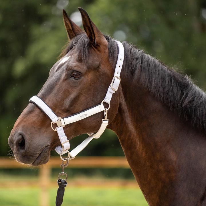 Actual product image HV Polo Skye