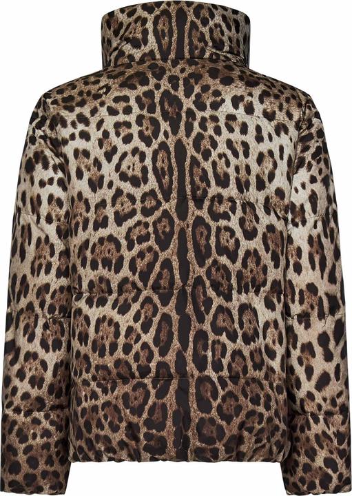 Dolce & Gabbana Coats (40)