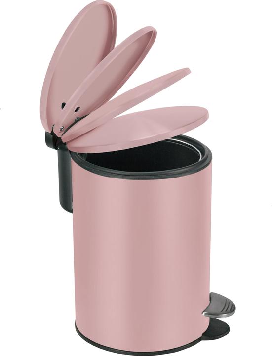 Vecchia rosa