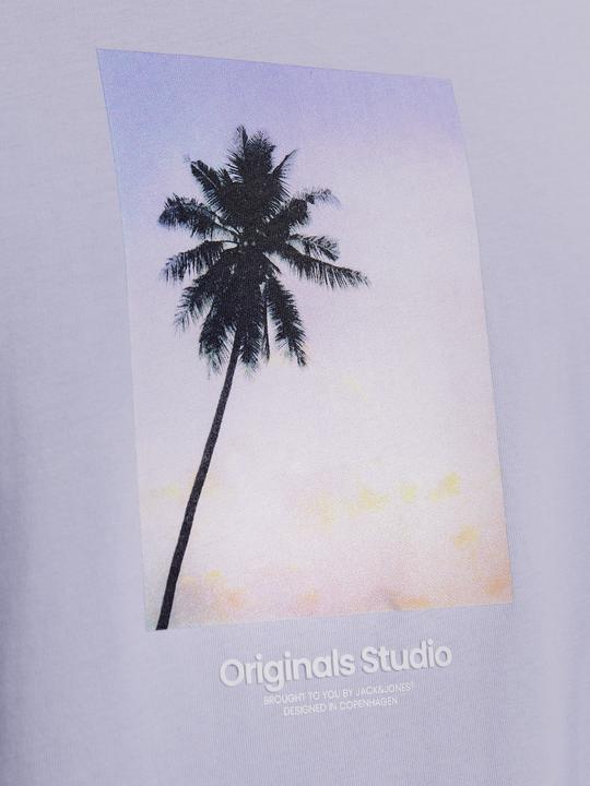 Actual product image Jack & Jones Jorvesterbro Picture Tee Ss Crew Neck Sn (L)