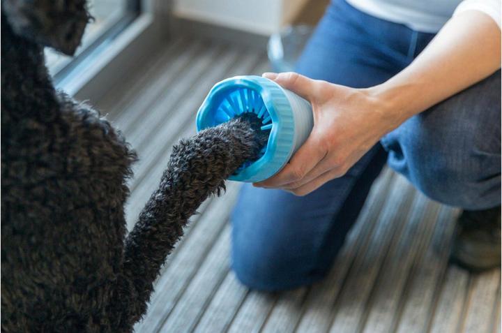 Actual product image Trixie Paw Cleaner, M-L, Silicone/PP, Blue (Dog)