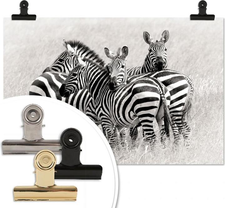 Produktbild Trenddeko Trubitsyn - Zebras in der Savanne (100 x 70 cm)