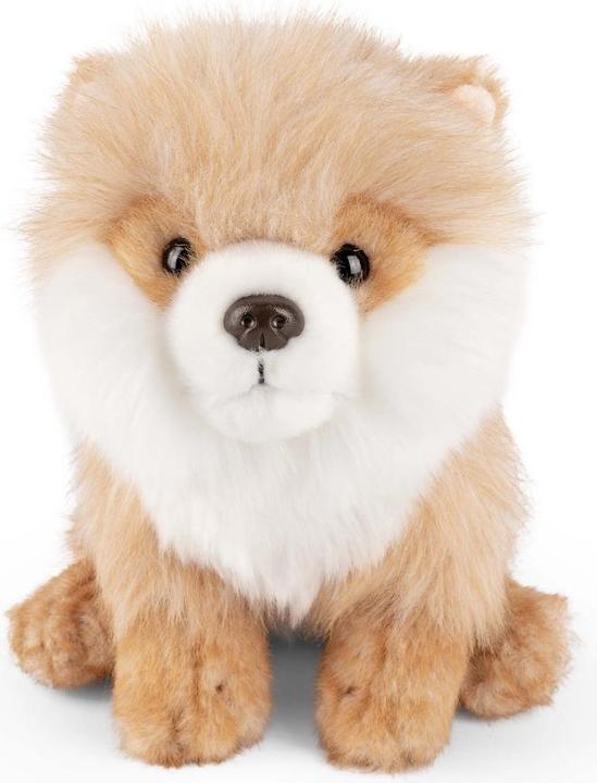 Actual product image Living Nature Pygmy spitz (20 cm)