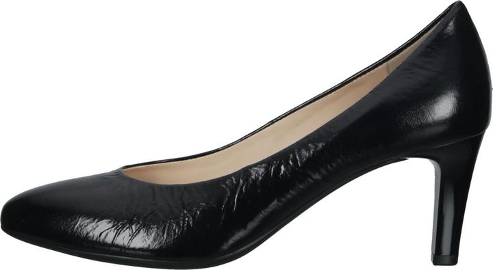 Image du produit Högl Pumps (41)