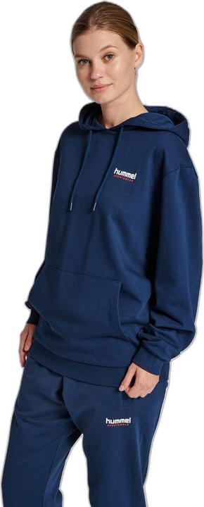 Image du produit hummel Lgc Austin Hoodie (XXL)