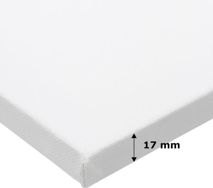 Produktbild Paintersisters ECO 40x60 20er Set (40 x 60 cm)