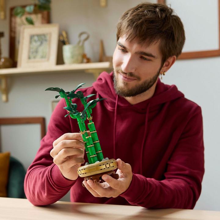 Produktbild LEGO Glücks-Bambus (10344, LEGO Icons)