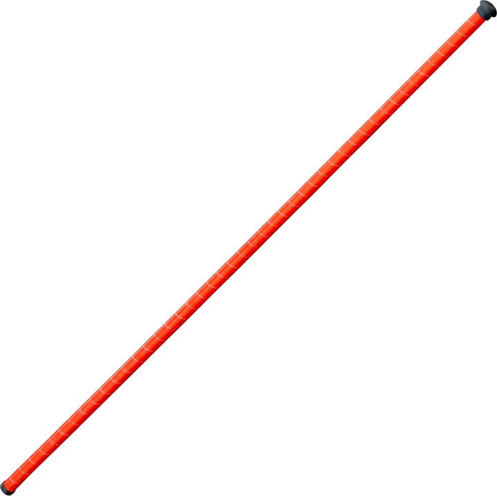 Immagine prodotto Nordic Sport Bastone da salto Jump-Hi (1850 g)
