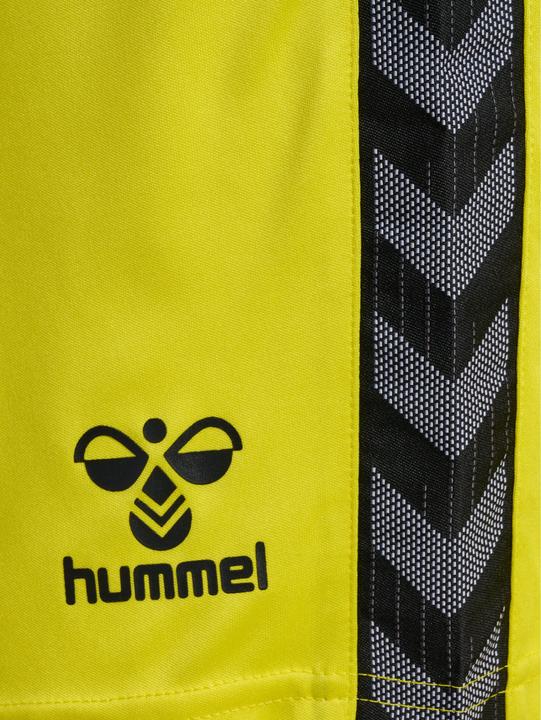 Image du produit hummel Hmlauthentic Pl Shorts (XXL)