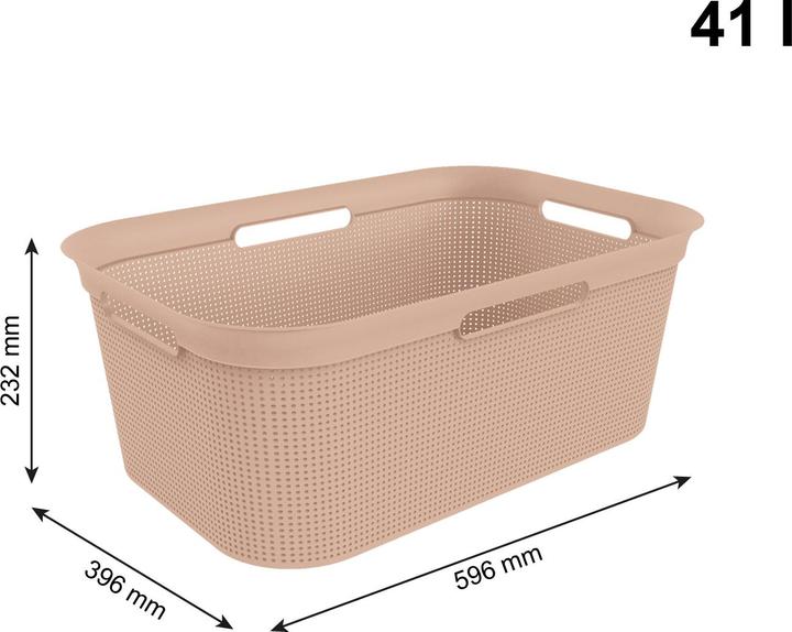 Image du produit Rotho Brises (41 l)