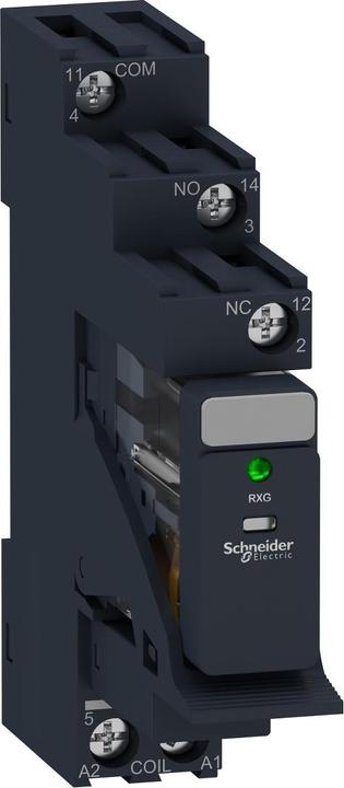 Schneider Electric Relè Zelio RXG con LED e base, 1 RXG13BDPV (Presa per relè)