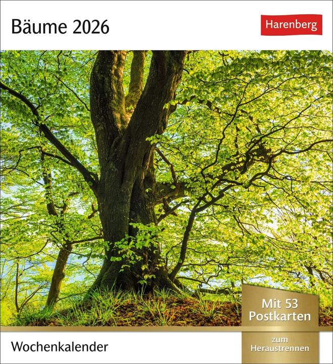 Image du produit Harenberg Bäume Postkartenkalender 2026 - Wochenkalender mit 53 Postkarten (Allemand)