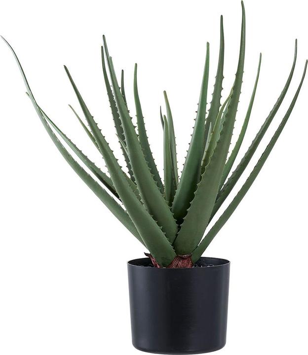 Immagine prodotto House Nordic Aloe (51 cm)